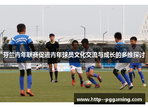芬兰青年联赛促进青年球员文化交流与成长的多维探讨 芬兰青年联赛促进青年球员文化交流与成长的多维探讨