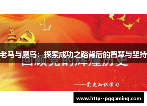 老马与魔鸟：探索成功之路背后的智慧与坚持