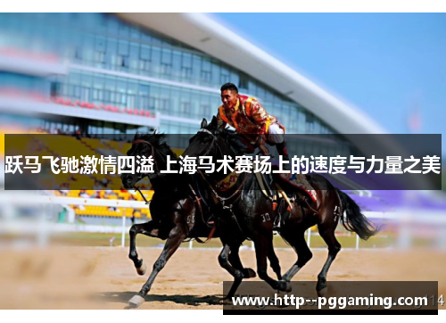 跃马飞驰激情四溢 上海马术赛场上的速度与力量之美