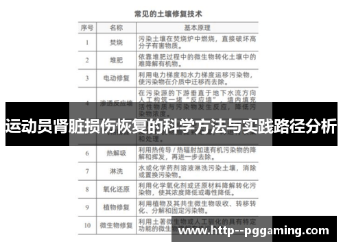 运动员肾脏损伤恢复的科学方法与实践路径分析