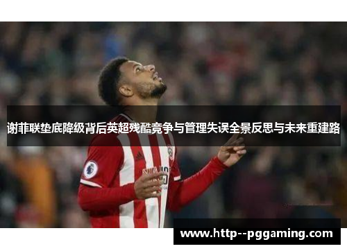 谢菲联垫底降级背后英超残酷竞争与管理失误全景反思与未来重建路