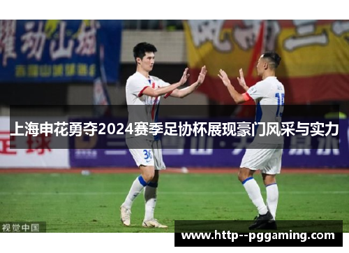 上海申花勇夺2024赛季足协杯展现豪门风采与实力