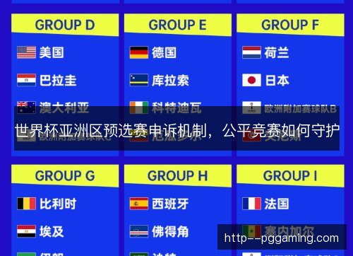 世界杯亚洲区预选赛申诉机制,公平竞赛如何守护 世界杯亚洲区预选赛申诉机制,公平竞赛如何守护